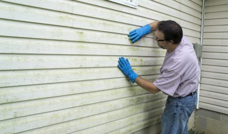 How to Properly Clean Vinyl Siding