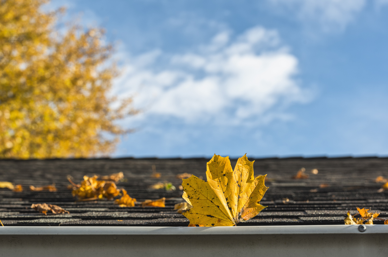 Calgary Eavestrough Explainer: How To Prepare For Fall