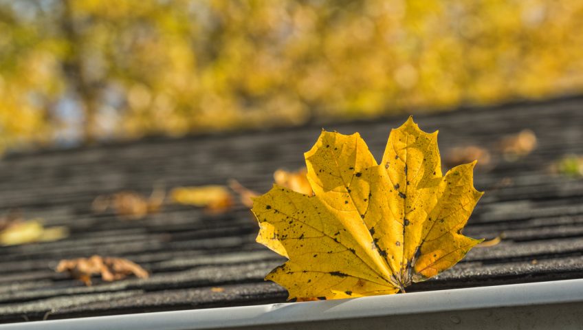 Gutter Calgary