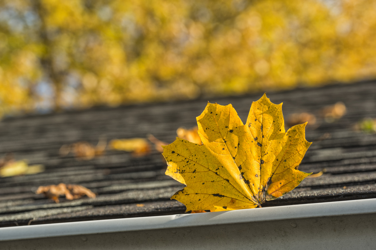 A Difference Between Eavestrough & Gutter?